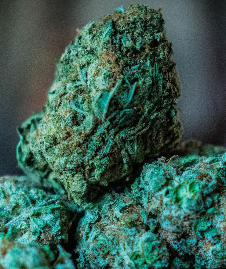 Cannabis Buds For Sale